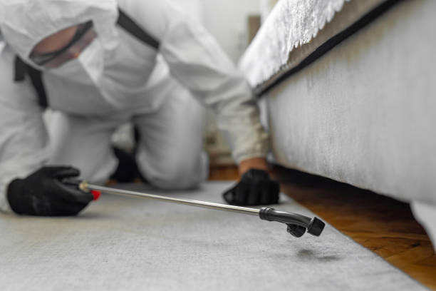 Professional Termite Control technician working in Centralia, IL