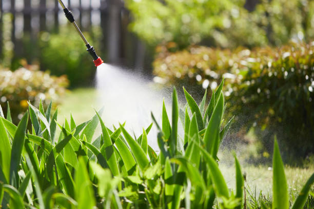 24/7 Emergency Termite Control experts in Centralia, IL